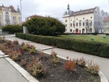 Huawei Mate 10 Lite daytime photos - f/2.2, ISO 50, 1/309s - Huawei Mate 10 Lite long-term review