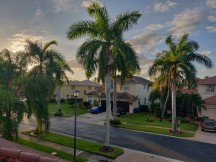 Daylight samples - f/1.7, ISO 100, 1/141s - Oneplus 6t Mclaren Edition review