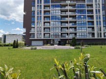 Standard photo mode - f/1.4, ISO 50, 1/3731s - Honor 20 Pro review