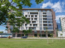 Standard photo mode - f/1.4, ISO 50, 1/3623s - Honor 20 Pro review