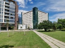 Honor 20 Pro vs Huawei P30 daylight: 20 Pro - f/1.4, ISO 50, 1/4444s - Honor 20 Pro review