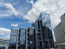 Standard photo mode - f/1.4, ISO 50, 1/4739s - Honor 20 Pro review