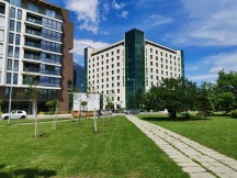 AI photo mode - f/1.4, ISO 50, 1/4739s - Honor 20 Pro review