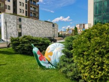 AI photo mode - f/1.4, ISO 50, 1/4149s - Honor 20 Pro review