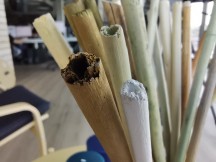 Macro vs normal cameras: Macro - Honor 20 Pro review