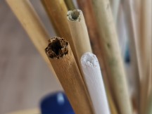 Macro vs normal cameras: Normal cropped - Honor 20 Pro review