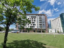 Honor 20 Pro vs Huawei P30 ultra wide-angle: 20 Pro - f/2.2, ISO 50, 1/1319s - Honor 20 Pro review