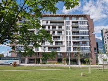 Honor 20 Pro vs Huawei P30 daylight: P30 - f/1.8, ISO 50, 1/3077s - Honor 20 Pro review