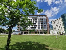 Honor 20 Pro vs Huawei P30 ultra wide-angle: P30 - f/2.2, ISO 50, 1/1325s - Honor 20 Pro review