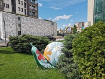 Honor 20 Pro vs Huawei P30 daylight: P30 - f/1.8, ISO 50, 1/3534s - Honor 20 Pro review