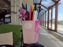 Normal daylight and indoor samples: Asus Zenfone 6 - f/1.8, ISO 25, 1/458s - Oneplus 7 review