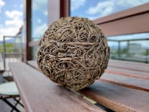 Normal daylight and indoor samples: Asus Zenfone 6 - f/1.8, ISO 43, 1/624s - Oneplus 7 review