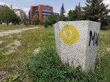Live Focus samples, stuff - f/1.9, ISO 40, 1/1825s - Samsung Galaxy M30 review