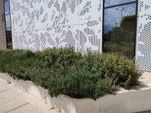 Black Shark 2 12MP photos - f/1.8, ISO 102, 1/6256s - Black Shark 2 review