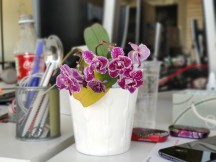 Portrait mode samples, stuff - f/2.4, ISO 239, 1/100s - Xiaomi Mi 9 SE review