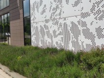 Xiaomi Mi 9T 8MP tele photos - f/2.4, ISO 100, 1/1113s - Xiaomi Mi 9T review