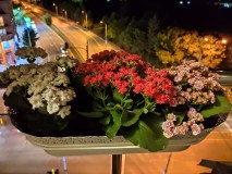 Xiaomi Mi 9T 12MP low-light photos with Night Mode - f/1.8, ISO 7929, 1/14s - Xiaomi Mi 9T review